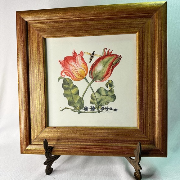 6 Vintage Botanical Prints in Gold Gilded Frames, signed by R. Morland.